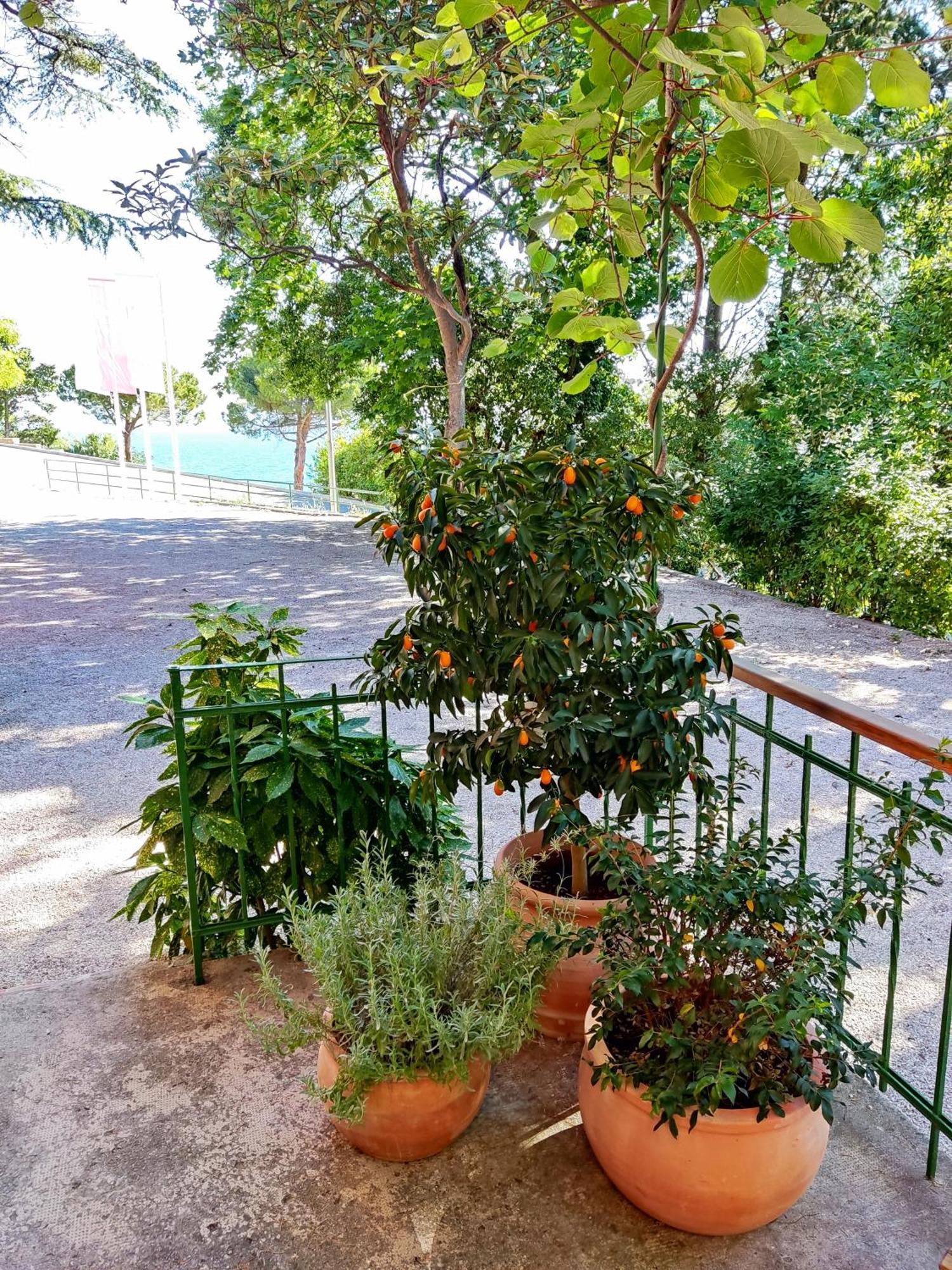 פיראן Morski Gaj Resort מראה חיצוני תמונה